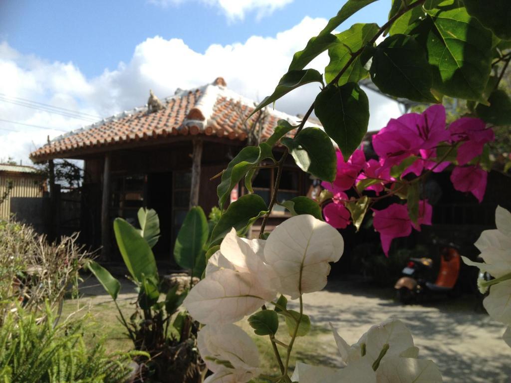 Hotel Nakijin No Yado Hibiscus Extérieur photo
