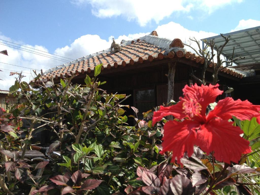 Hotel Nakijin No Yado Hibiscus Extérieur photo