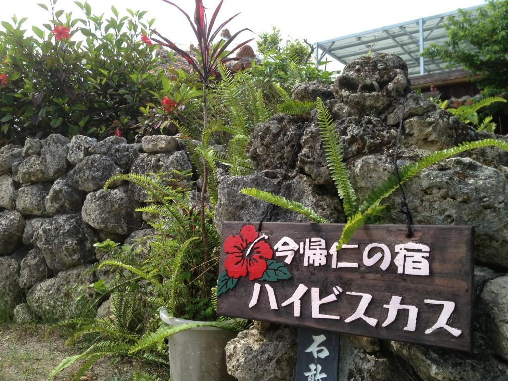 Hotel Nakijin No Yado Hibiscus Extérieur photo