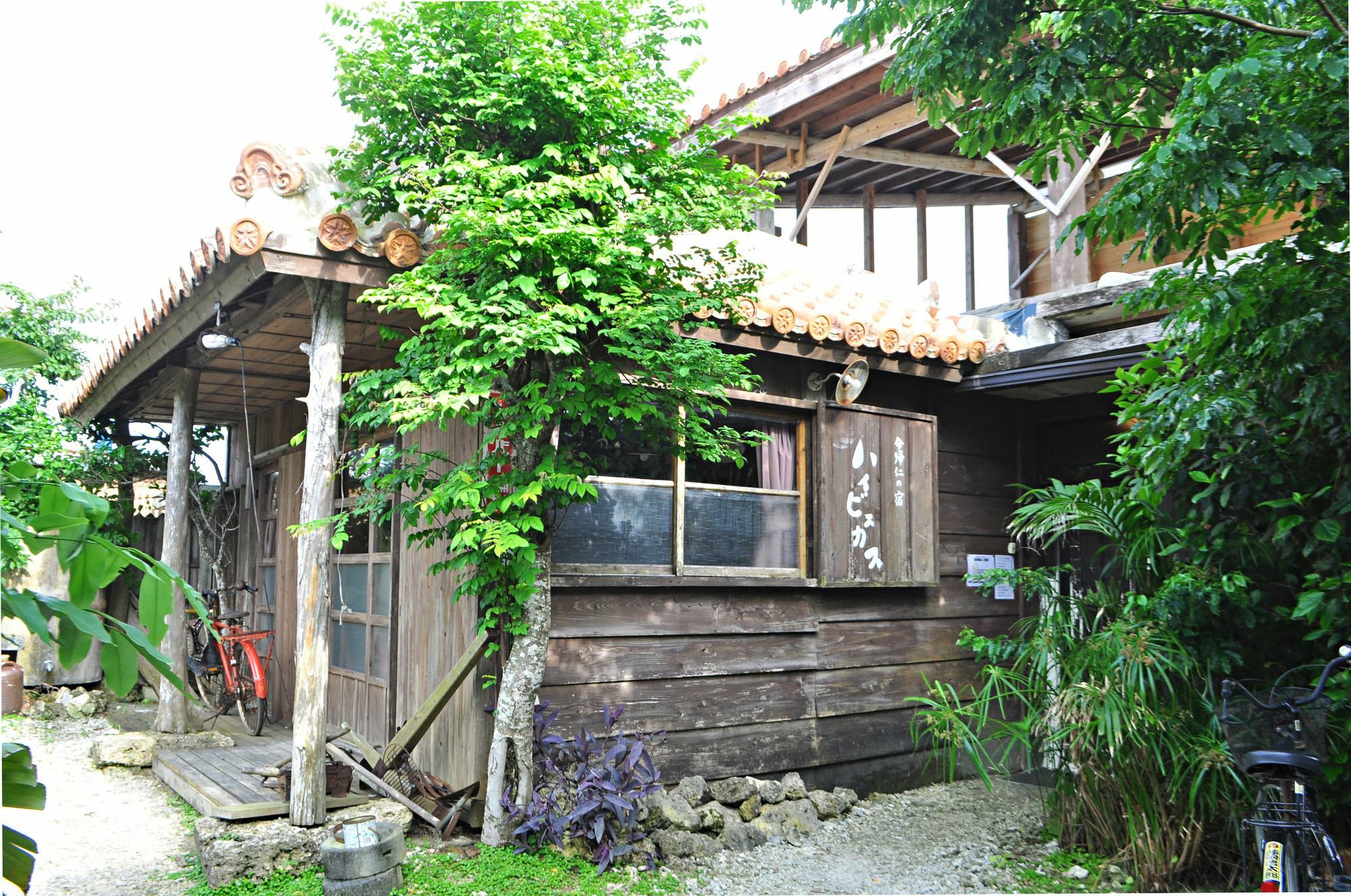 Hotel Nakijin No Yado Hibiscus Extérieur photo